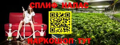 гашиш Дмитров