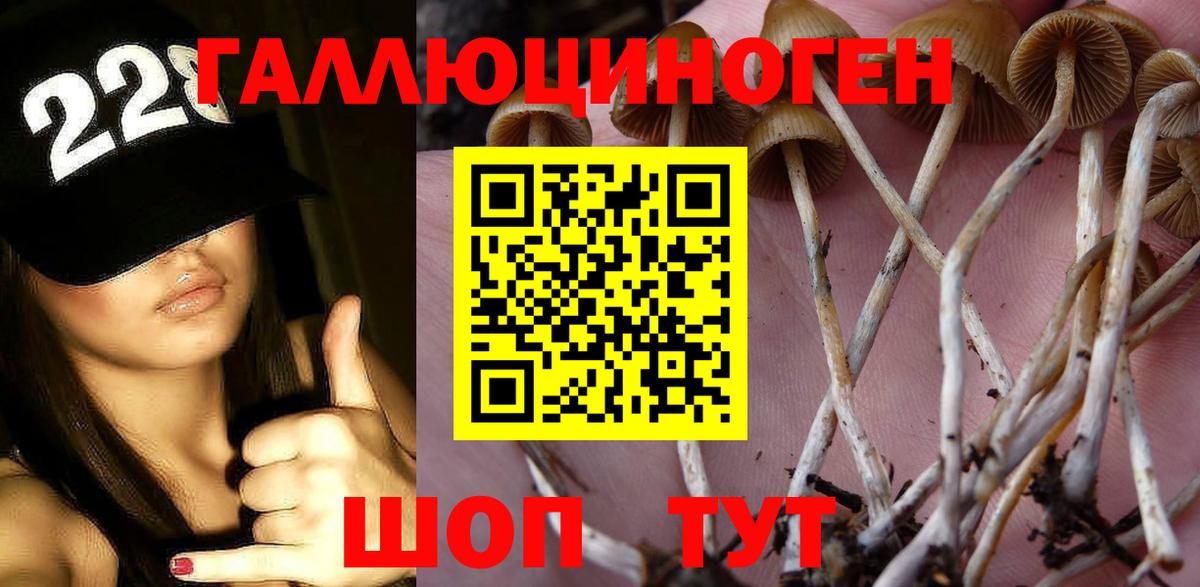 Псилоцибиновые грибы ЛСД Вятские Поляны