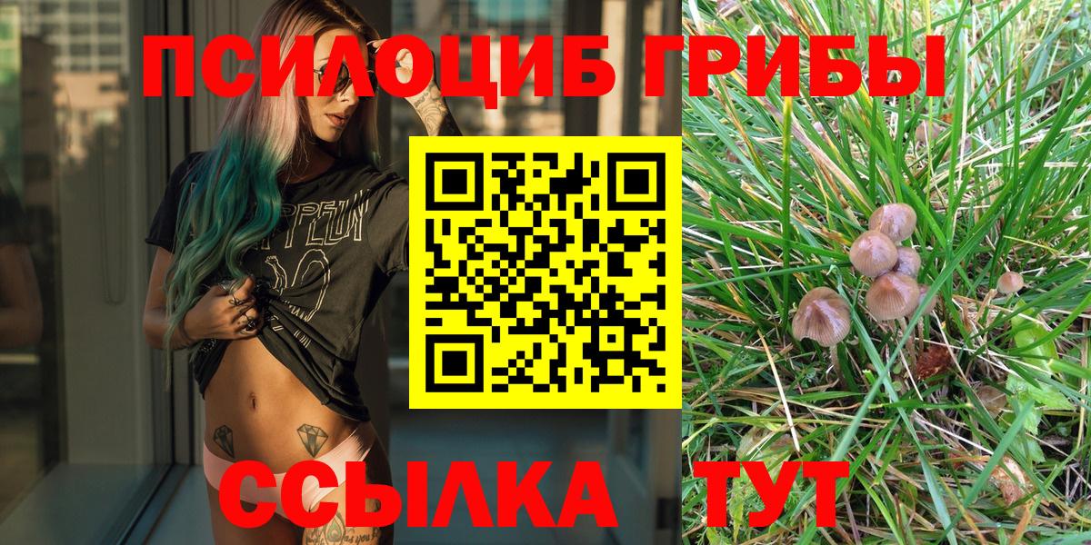 Псилоцибиновые грибы Magic Shrooms  Вход с VPN  Псилоцибиновые грибы Cubensis  Вятские Поляны 
